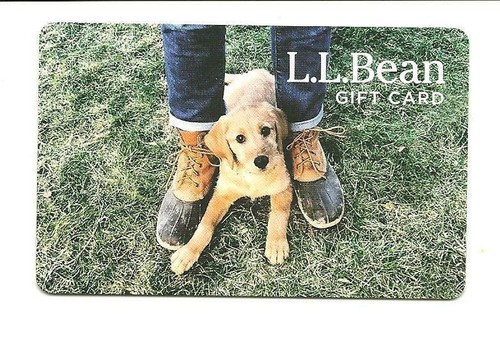 Carta regalo bean carino - l.l.,