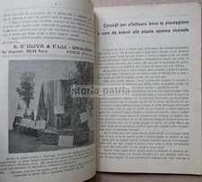 PESCIA_AGRARIA_ORTO_PIANTE_FRUTTA_OLIVI_ASPARAGI_LEGUMI_PUBBLICITARIA D'ULIVA