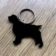 Springer Spaniel Cane Con Coda