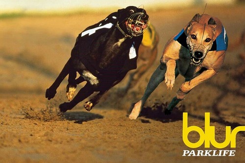 358735 poster stampa blur - 358735,
