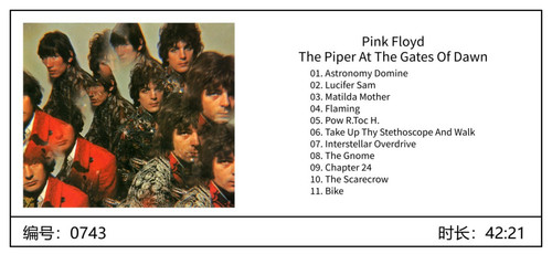 Pink floyd pifferaio - pink, alle