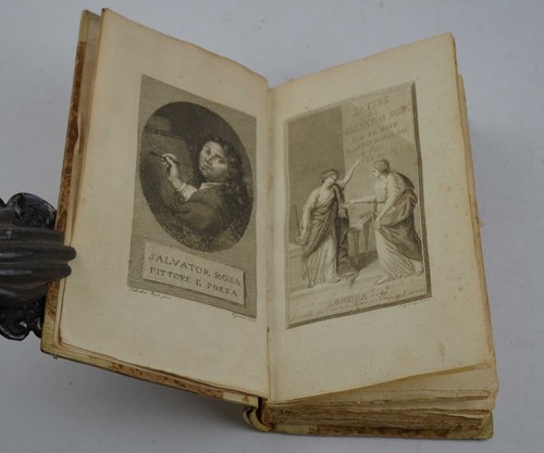 Rosa salvator satire - salvator., con