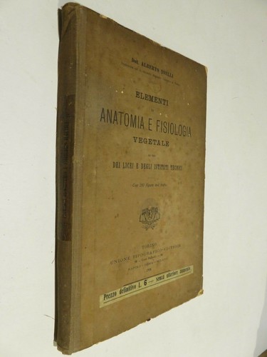 Elementi anatomia e - di,
