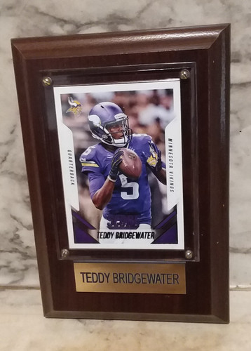 Terry bridgewater custodia - #5,