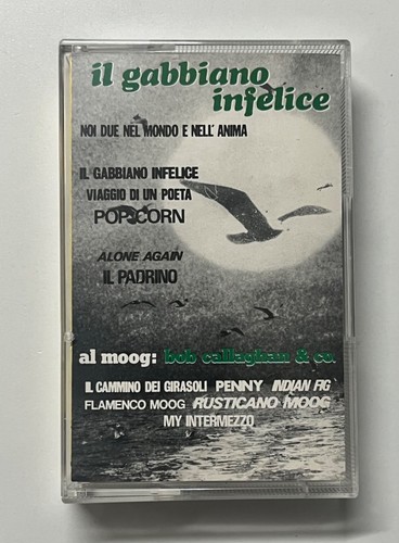 Gabbiano infelice - gabbiano,