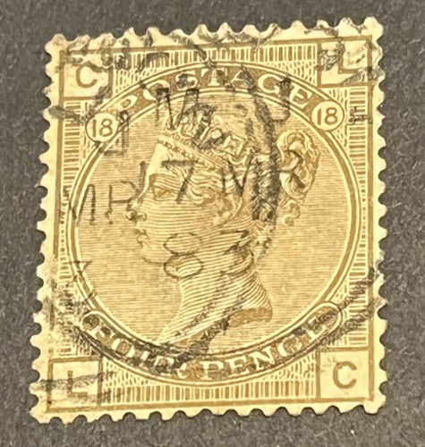 D443 4d grigio marrone - gb,