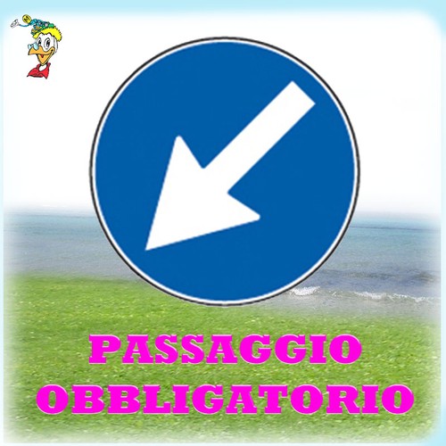 Cartelli segnaletici stradali - cartelli,