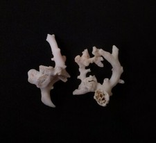 100 naturale giapponese - 100%,