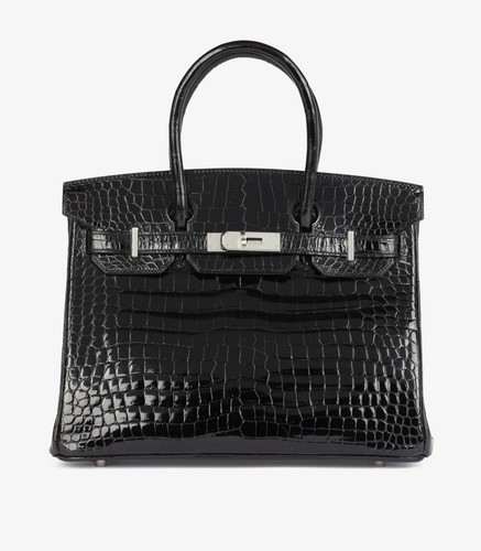 Hermès niloticus nero - hermès, lucido