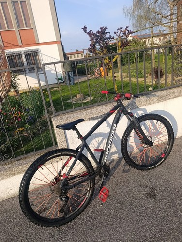 Rockrider 540 modificata - st,