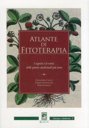 Libri alessandra caccia - libri,