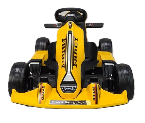 Kart elettrico 24v - go, per