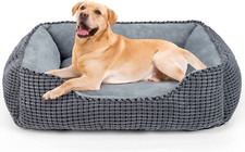 Cuccia cane interno - cane,