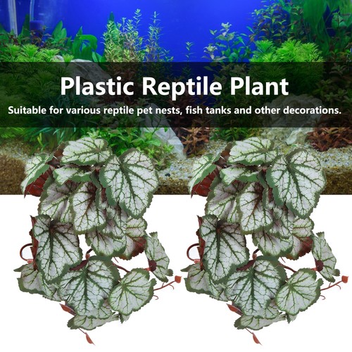 Foglie heuchera 2pcs - foglie,