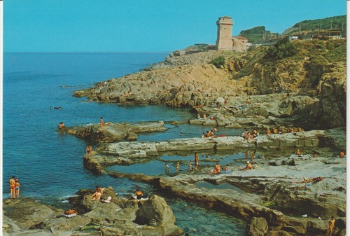 Cartolina livorno - cartolina,