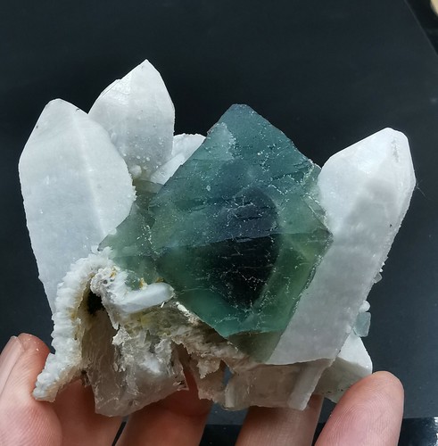 Nuovo find green blue core - blue,