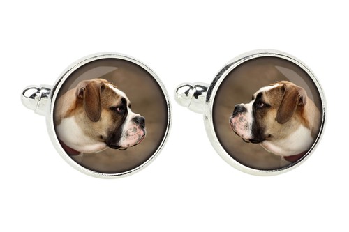 Bulldog americano spilla per