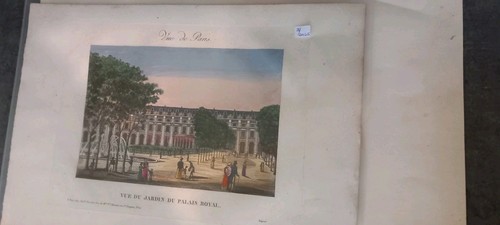 Belle vue optique jardin - belle, d'optique