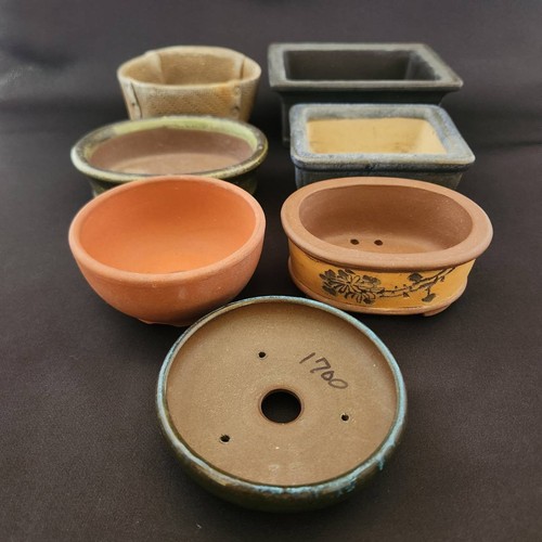 Set piccole vasi bonsai - 7,