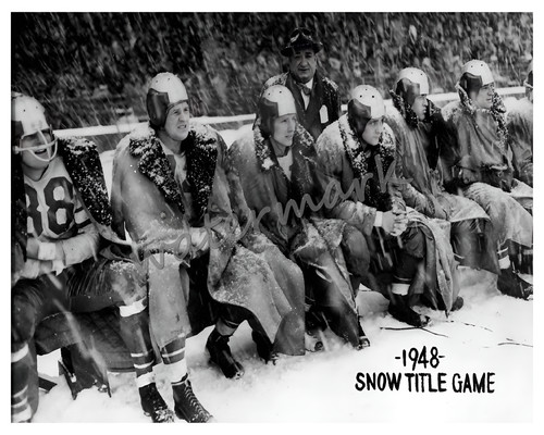 Nfl 1948 championship gioco - 1948,
