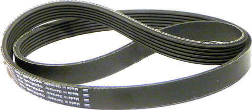 Cinghia cinghia trapezoidale