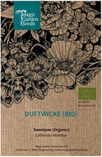 Pisello odoroso (Lathyrus odoratus) biologico - circa 10 semi