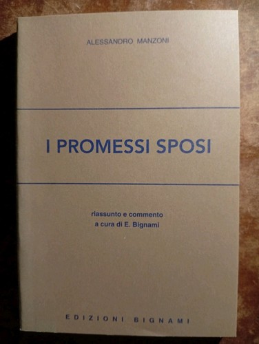 Promessi sposi riassunto - sposi, e
