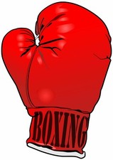 Guantone da Boxe Adesivo