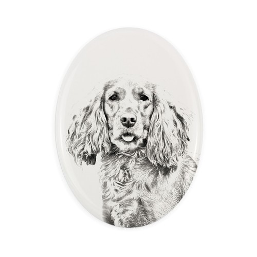 Cocker spaniel inglese lapide - cocker,