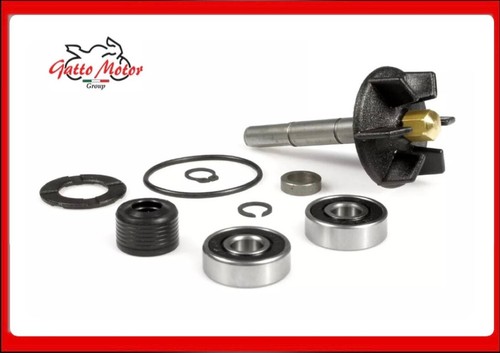 Kit revisione pompa acqua - kit,