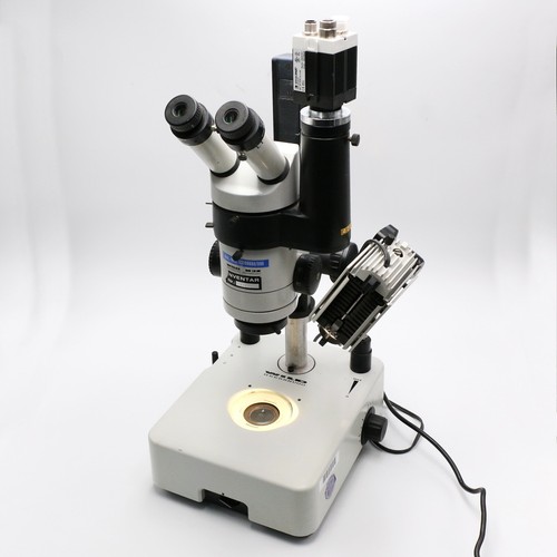 Stereomicroscopio wild - stereomicroscopio,