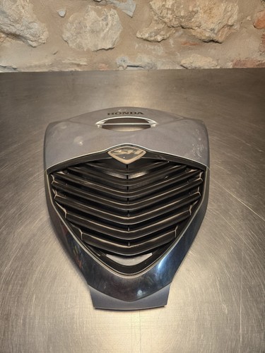 Carena plastica anteriore - carena,