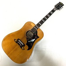 Raro colibrì TOMSON TGF-351