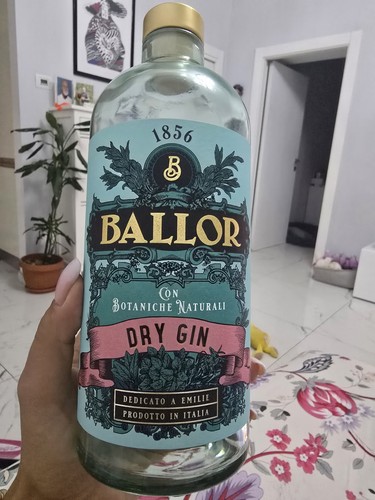 Bottiglia vuota ballor gin - bottiglia,