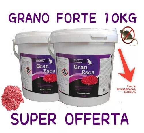 Vebi forte grano - grano,