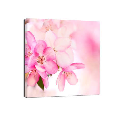 Canvashop quadri moderni - quadri,