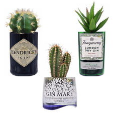 VASO BOTTIGLIA LIQUORE CON PIANTINA VARI TIPI