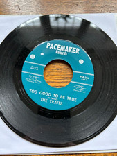 The Traits - Too Good To Be