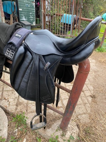Sella dressage horses - da,