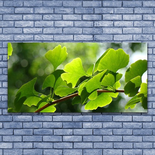 Stampa tela canvas 140x70 - stampa, su