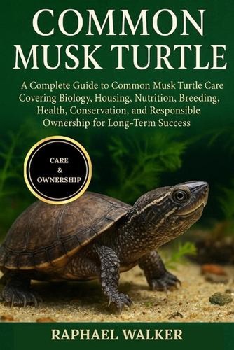 Common musk turtle - common, a