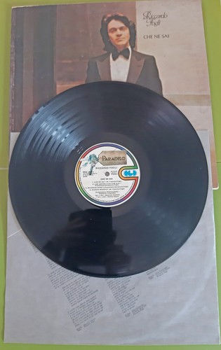 Disco vinile giri - disco,