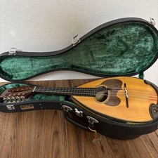 Suzuki violino Nagoya M-30