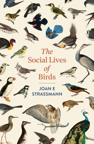 The social lives birds - social, of