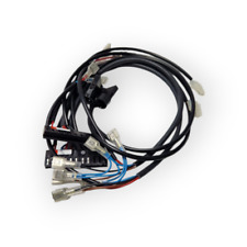 BWT C1EPB 32/213 CABLAGGIO