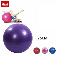 Gymball Palla Da Ginnastica Gonfiabile Yoga Pilates Fitness 75Cm hmj