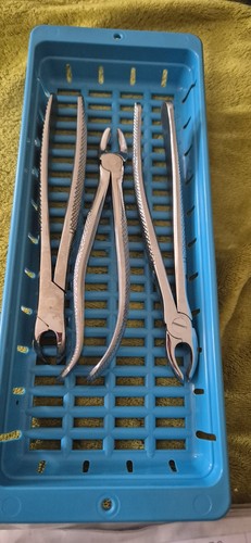 Pinza dentale cenere 3 - pinza,