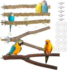 5 Pezzi Posatoi per Uccelli