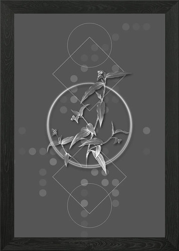 Quadro stampa tela - quadro, su