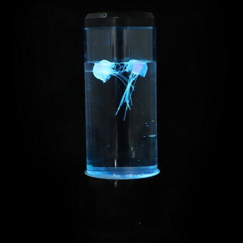 Lampada acquario meduse